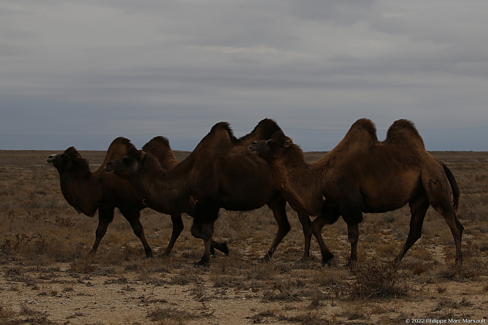 /ecran/Kazakhstan_0585.jpg