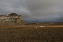 vignette Kazakhstan_0204.jpg 