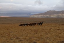 vignette Kazakhstan_0229.jpg 