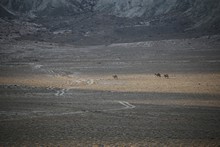 vignette Kazakhstan_0243.jpg 