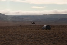 vignette Kazakhstan_0252.jpg 