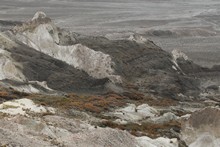 vignette Kazakhstan_0472.jpg 