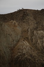 vignette Kazakhstan_0488.jpg 
