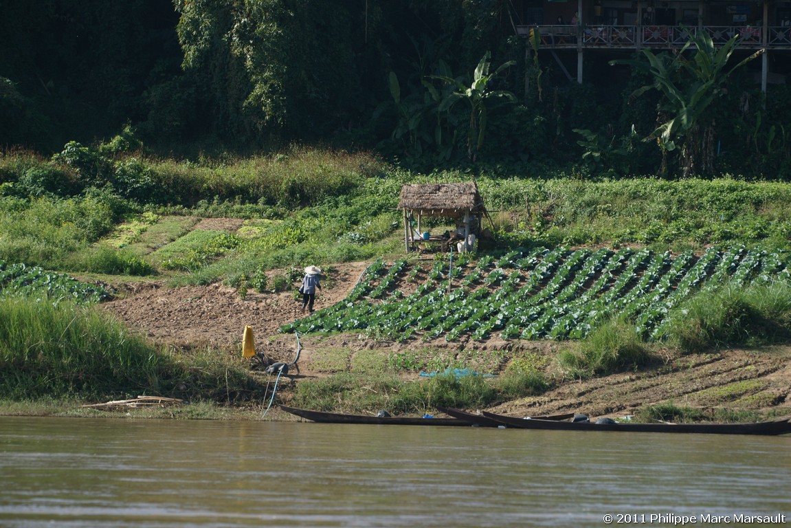 /ecran/Laos_0041.jpg