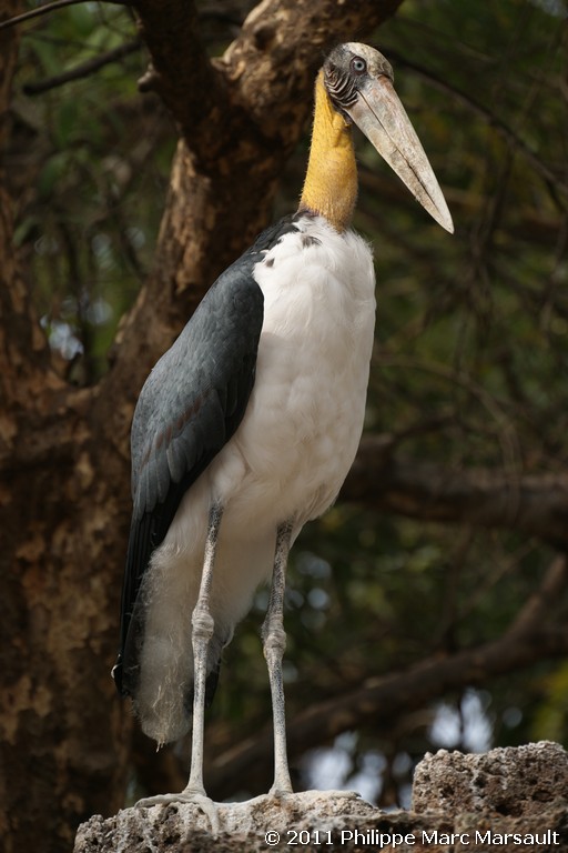 /ecran/Laos_0548.jpg