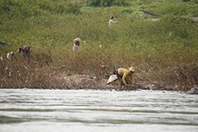 vignette Laos_0154.jpg 