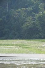 vignette Laos_0156.jpg 