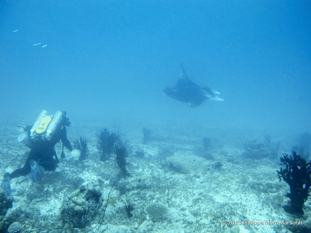 /ecran/Maldives_sud_0035.jpg