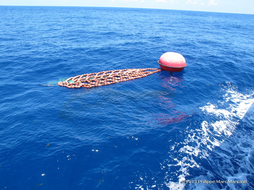 /ecran/Maldives_sud_0066.jpg