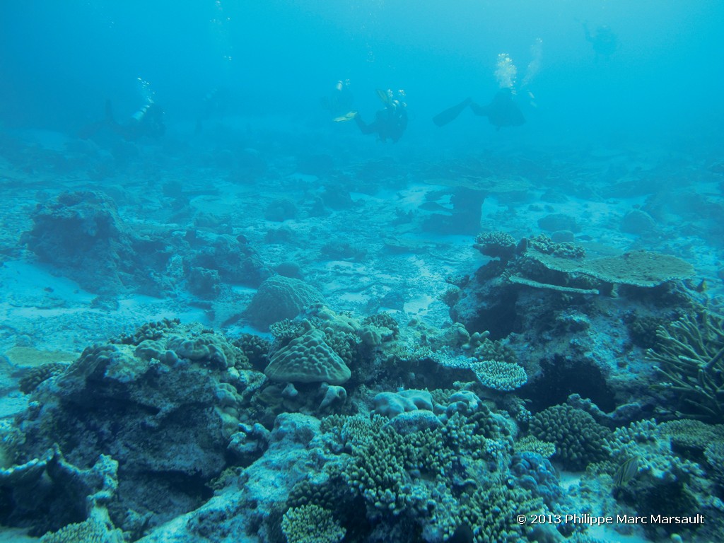 /ecran/Maldives_sud_0105.jpg