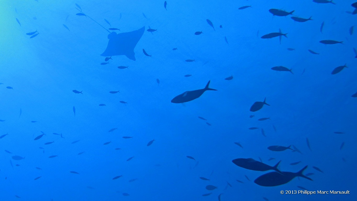 /ecran/Maldives_sud_0214.jpg