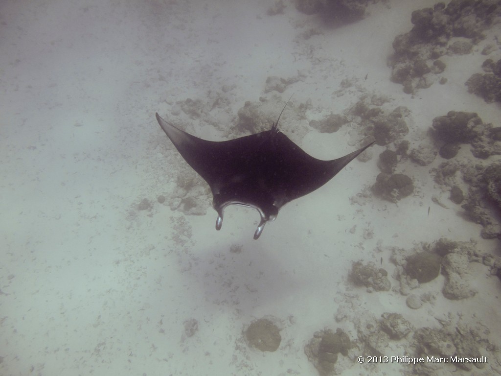 /ecran/Maldives_sud_0319.jpg