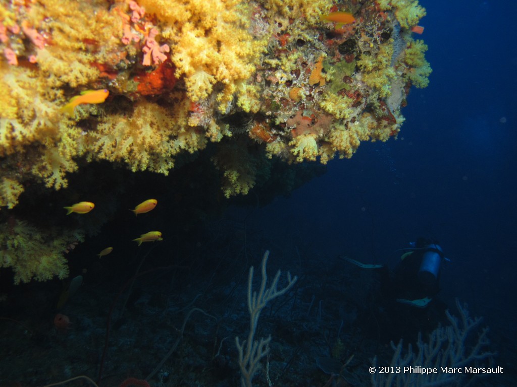 /ecran/Maldives_sud_0355.jpg