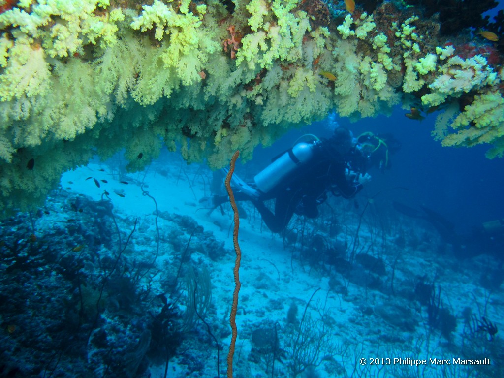 /ecran/Maldives_sud_0368.jpg