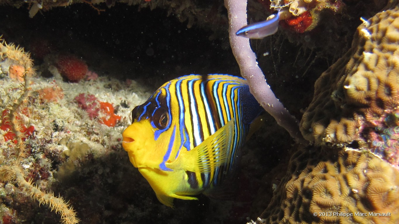 /ecran/Maldives_sud_0409.jpg