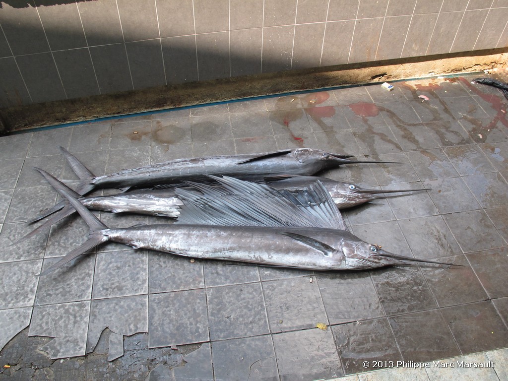 /ecran/Maldives_sud_0522.jpg
