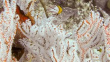 vignette Maldives_sud_0142.jpg 