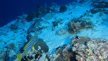 vignette Maldives_sud_0165.jpg 