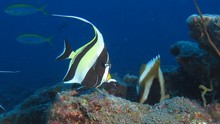 vignette Maldives_sud_0198.jpg 