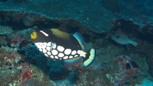 vignette Maldives_sud_0205.jpg 