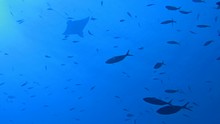 vignette Maldives_sud_0214.jpg 