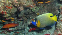 vignette Maldives_sud_0242.jpg 