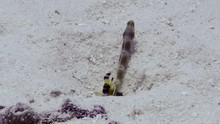 vignette Maldives_sud_0309.jpg 