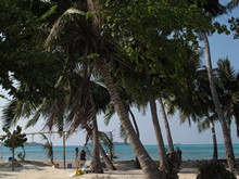 vignette Maldives_sud_0397.jpg 
