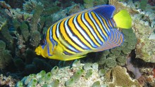 vignette Maldives_sud_0411.jpg 