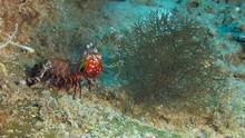 vignette Maldives_sud_0437.jpg 