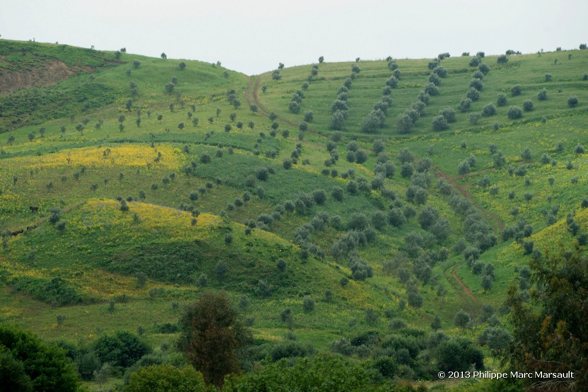 /ecran/Maroc_0258.jpg