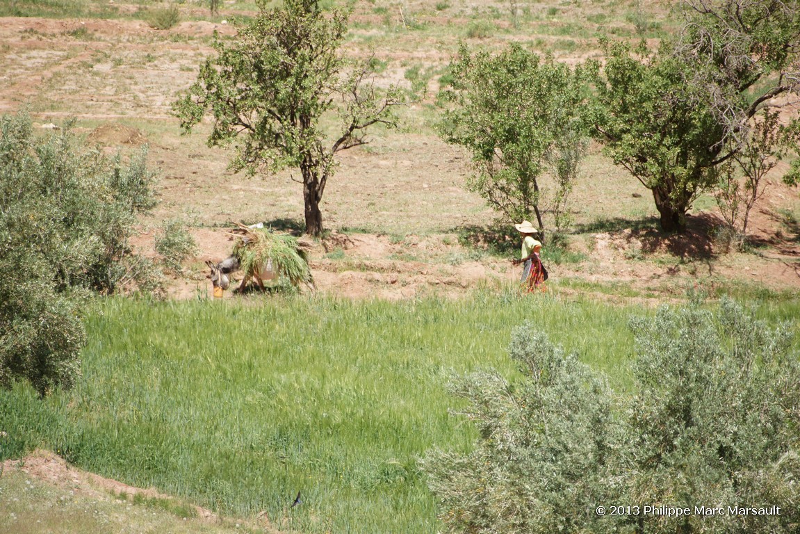 /ecran/Maroc_0899.jpg