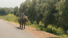 vignette Maroc_0266.jpg 