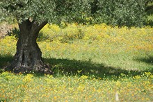 vignette Maroc_0272.jpg 