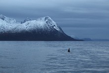 vignette Norvege_2018_0136.jpg 