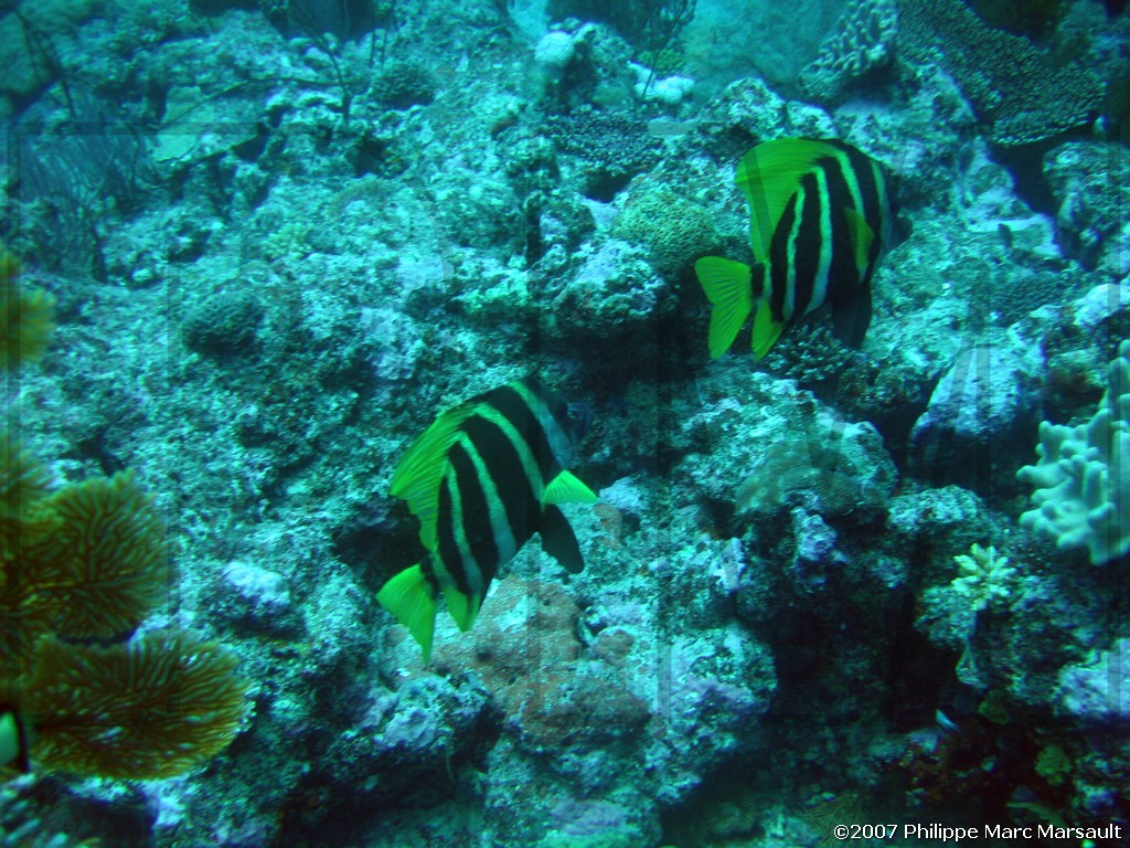 /ecran/Nouvelle-Caledonie_162.jpg