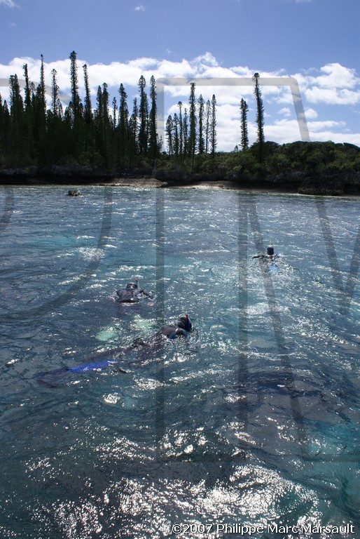 /ecran/Nouvelle-Caledonie_255.jpg