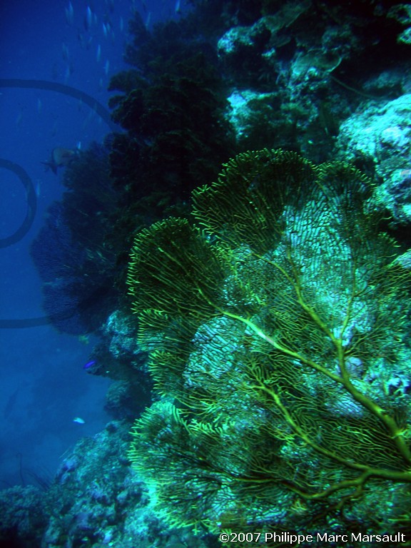 /ecran/Nouvelle-Caledonie_257.jpg
