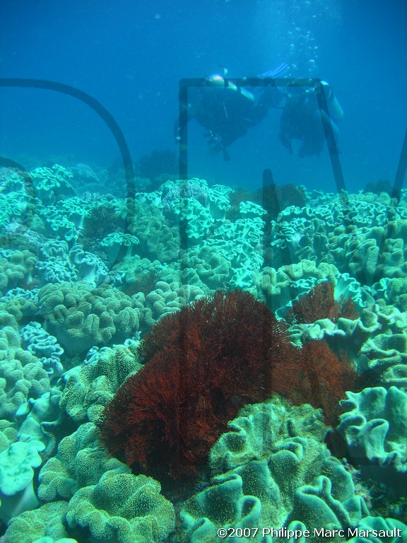 /ecran/Nouvelle-Caledonie_273.jpg