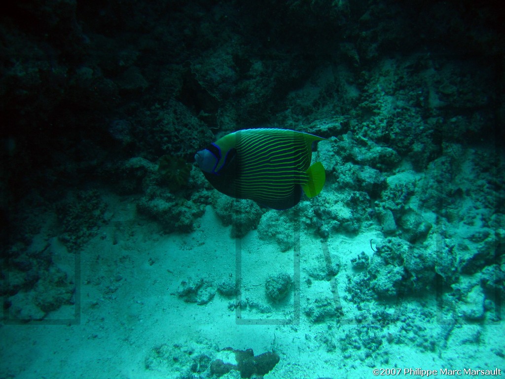 /ecran/Nouvelle-Caledonie_275.jpg