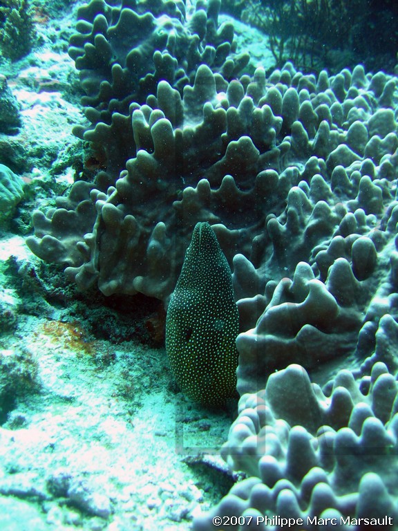 /ecran/Nouvelle-Caledonie_291.jpg