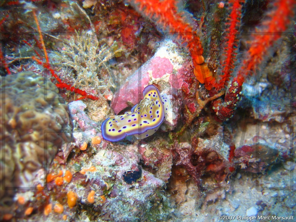 /ecran/Nouvelle-Caledonie_767.jpg