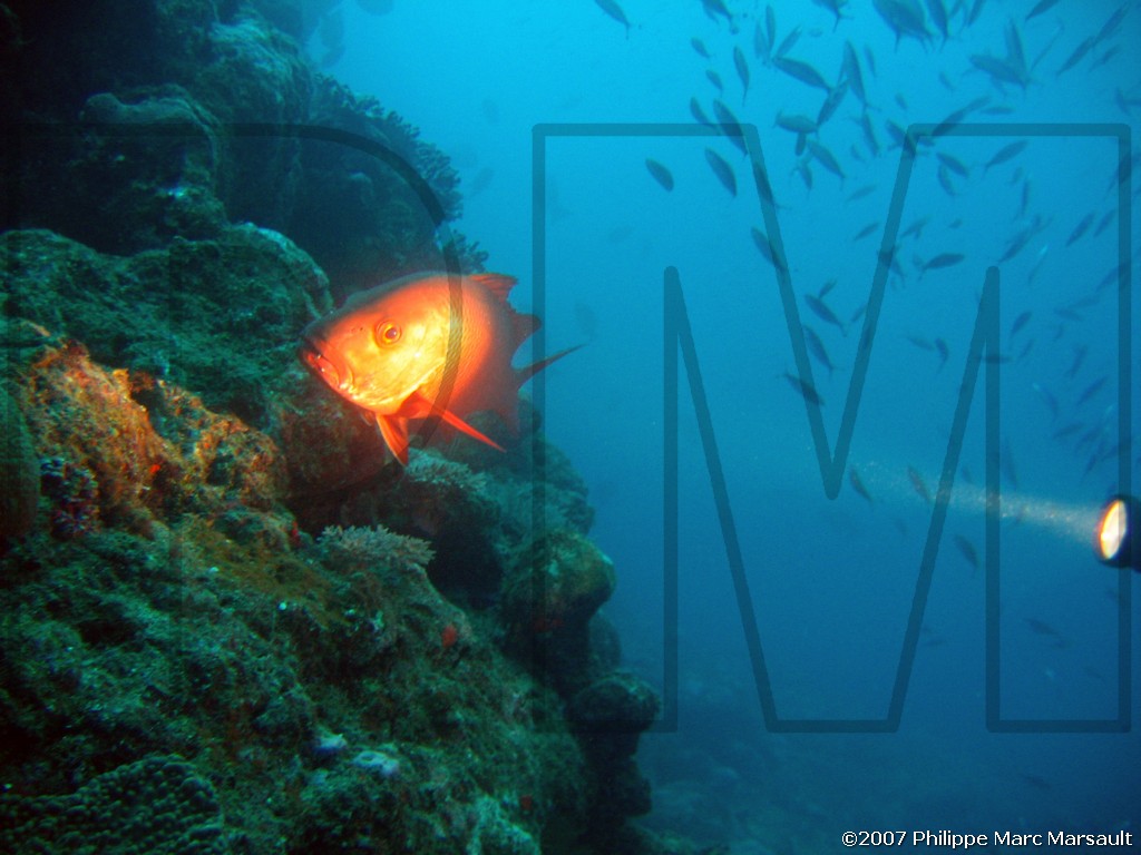 /ecran/Nouvelle-Caledonie_964.jpg