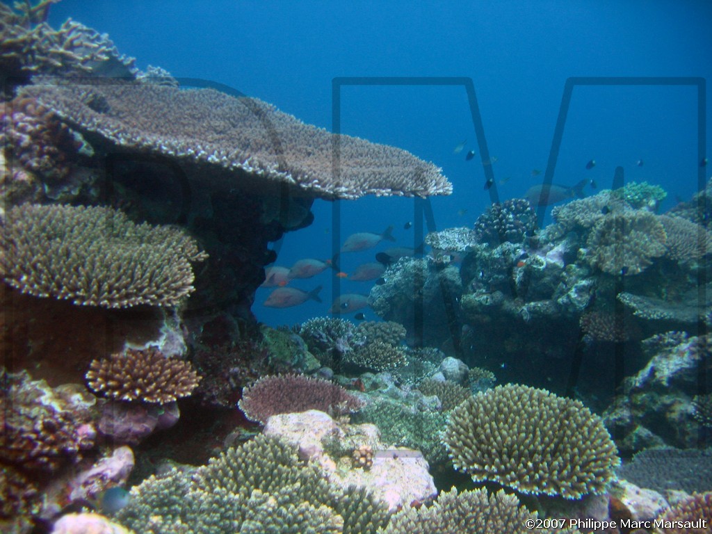 /ecran/Nouvelle-Caledonie_975.jpg