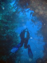 vignette Nouvelle-Caledonie_116.jpg 