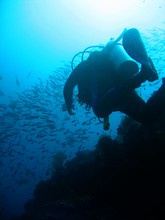 vignette Nouvelle-Caledonie_128.jpg 
