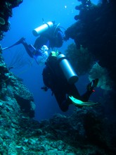 vignette Nouvelle-Caledonie_131.jpg 
