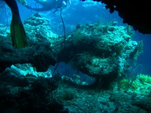 vignette Nouvelle-Caledonie_138.jpg 