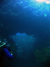 vignette Nouvelle-Caledonie_148.jpg 