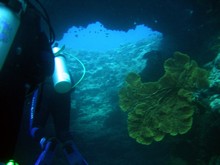 vignette Nouvelle-Caledonie_149.jpg 